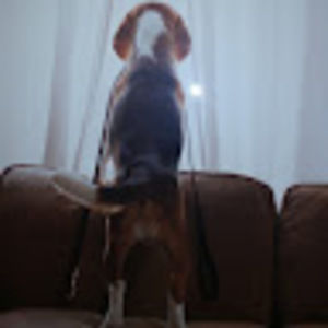 Meet your Posher, Angelica